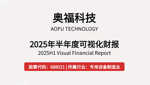 2025年半年度可视化财报
